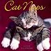 Details About Cat Naps 2008 Mini Calendar