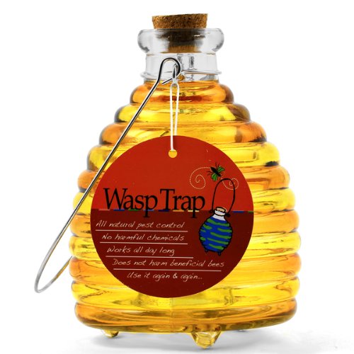 Large Wasp Trap - Yellow/gold New | eBay