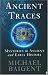 Ancient Traces: Mysteries in Ancient and Early History