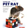 Training Your Pet Rat
