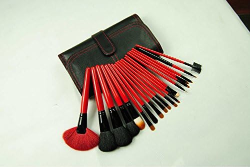 Songhui Professional Makeup Brush Set 20 Pieces Cosmetics Brush Kit with Travel, Foundation blusher