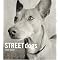 Fine Art Photography - Animals