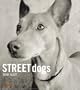 Street Dogs