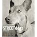 Street Dogs