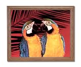 Tropical Macaw Parrots Birds Animal Wildlife Home Decor Wall Picture Oak Framed Art Print