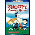 �X�k�[�s�[�̑�`�� [DVD]