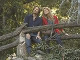 Blues From Laurel Canyon