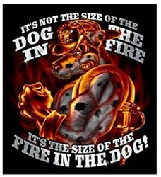 Size of the Dog