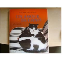 Un amour de chats