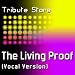 Mary J Blige  The Living Proof 