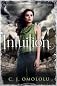 Intuition