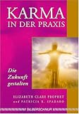Produkt-Bild: Karma in der Praxis. Die Zukunft gestalten