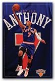Carmelo Anthony - New York Knicks NBA 2011 22"x34" Art Print Poster
