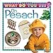 What do You See on Pesach