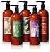 WEN Complete Set of All Five Cleansing Conditioners - 32oz