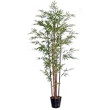 Laura Ashley 6′ BAMBOO TREE