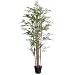 Laura Ashley 6 Foot Tall Realistic Bamboo Tree Including Pot