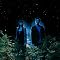Phantogram