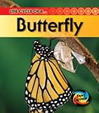Life cycle of a-- butterfly