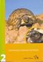Hermann's Tortoise, Boettger's and Dalmatian Tortoises: Testudo boettgeri, hercegovinensis and hermanni (Chelonian Library, Volume 2)