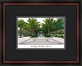 South Florida USF Bulls Framed & Matted Campus Picture
