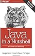 Java in a Nutshell