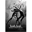 Hush, Hush (Reinforced Hardcover)