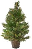 24 Potted Artificial Augusta Pine Christmas Tree
