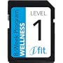iFit SD Card Wellness Program Level 1
