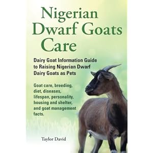 Nigerian Dwarf Goats Care: Dairy Goat Information Guide to Raising Nigerian Dwarf Dairy Goats as Pets. Goat care, breeding, diet, diseases, lifespan,