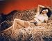 JANE RUSSELL 8x10 COLOR PHOTO