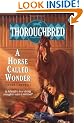 A Horse Called Wonder (Thoroughbred)