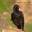 Birds of Cornwall...