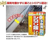 ��������ϥ󥿡���6����/���ۤ�/������/�ץ쥼���/�Х�󥿥���/��ǯ��/´�Ƚˤ�