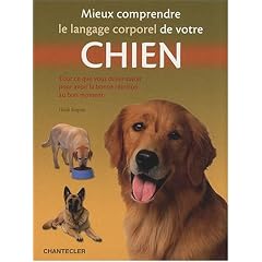 Mieux comprendre le langage corporel de votre chien