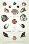 The Shell Collector: Stories