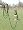Clix Long Line Recall Training 10m