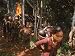 After Firing on the Viet Cong Village, American Troops Remove 