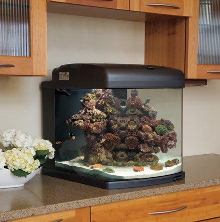 JBJ 28 Gallon Nano Cube Intermediate Aquarium with LED Lighting JBJ 28 Gallon Nano Cube Intermediate Aquarium with LED Lighting
