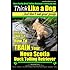 Nova Scotia Duck Tolling Retriever Training AAA AKC: Think Like a Dog ~ But Don't Eat Your Poop! | Nova Scotia Duck Tolling Retriever Breed Expert ... Nova Scotia Duck Tolling Retriever (Volume 1)