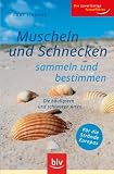 Produkt-Bild: Muscheln und Schnecken sammeln und bestimmen: Die h&auml;ufigsten und sch&ouml;nsten Arten. F&uuml;r die Str&auml;nde Europas