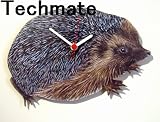 Hedgehog Wall Clock - WD16
