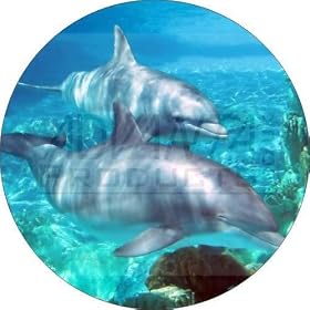 Dolphins Christmas Gift Fridge Magnet