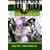 World War Hulk