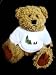 Teddy Bear with great wall, china, pagoda, jitney, asian t-shirt