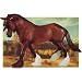 Breyer The Four Season Collector's Event  - Bay