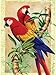 Royal & Langnickel Painting by Numbers Junior Small Art Activity Kit, Bamboo Parrots