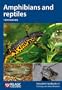 Amphibians and reptiles (Naturalists' Handbook)