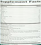 Garden of Life Perfect Food Super Green Formula, 600- Grams (60-Servings)