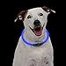 Nite Howl LED Safety Necklace, Reusable Visibility Necklace for Pets, Blue (NHO-03-R3)
